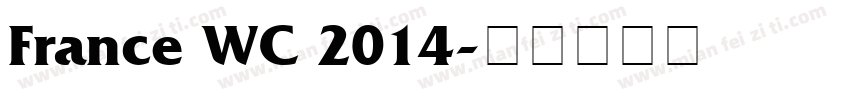 France WC 2014字体转换